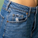 Classic Denim Jorts – Wild Fable